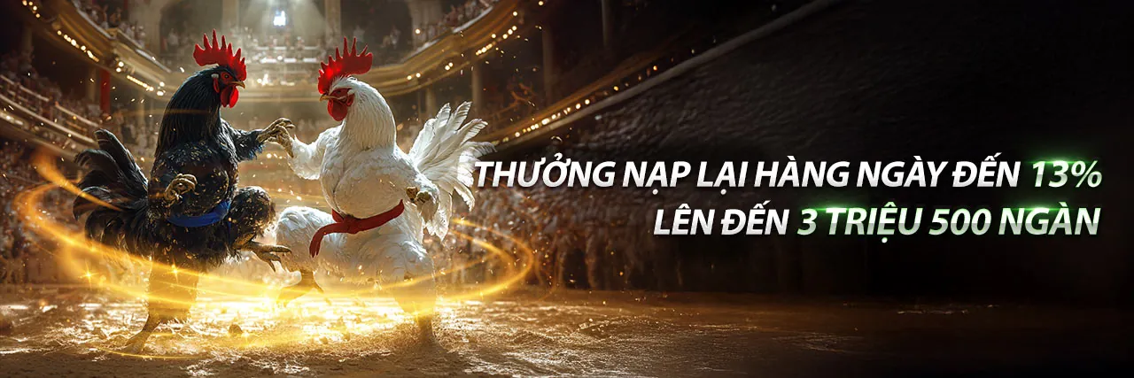 Đá gà trực tuyến W88VT với các trận đấu kịch tính và hấp dẫn
